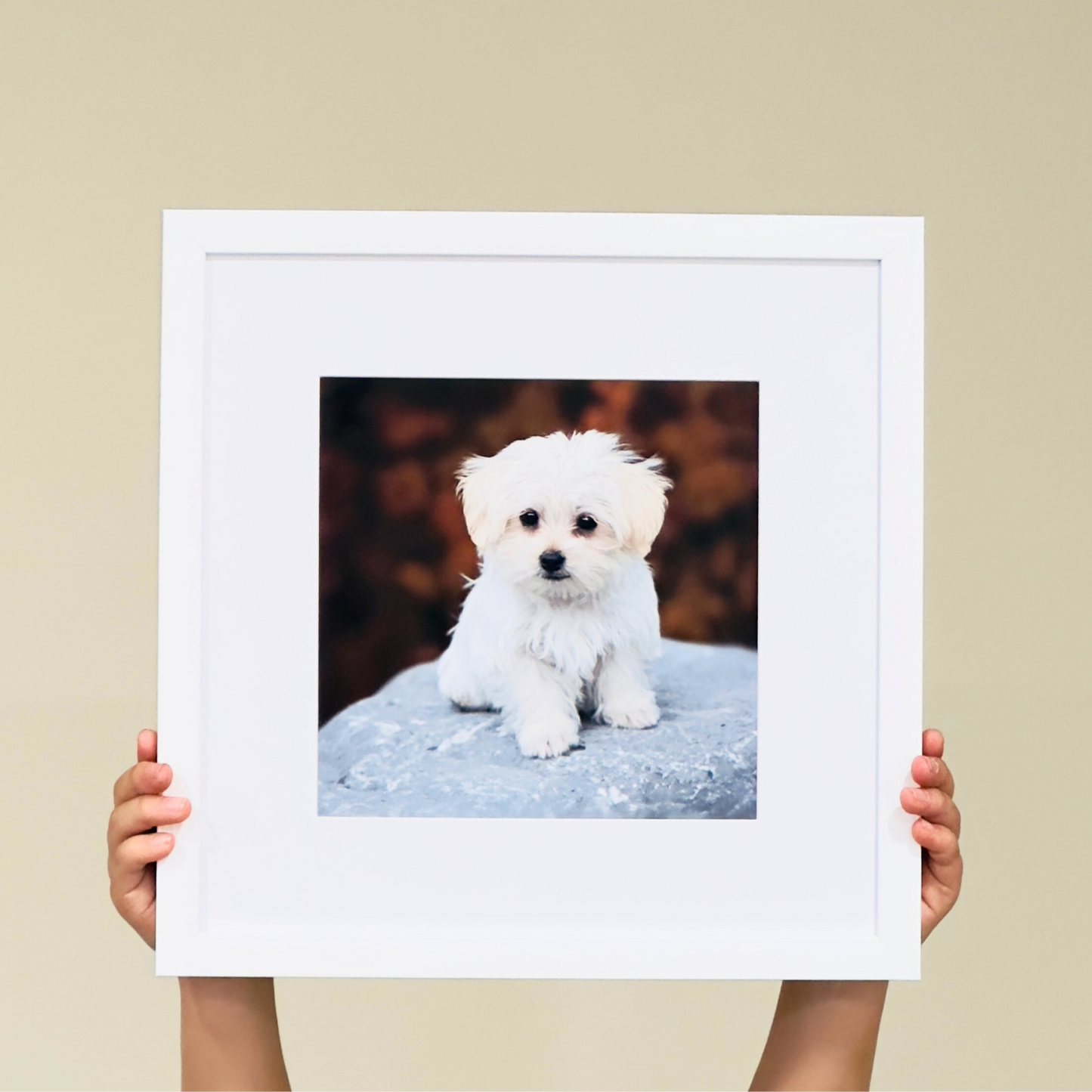 Custom Photo Frame