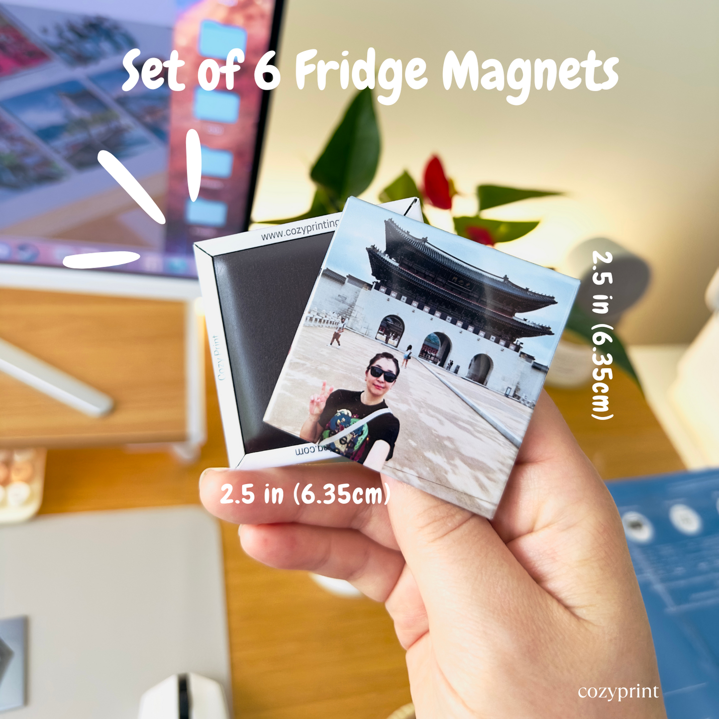 Custom Fridge Magnets