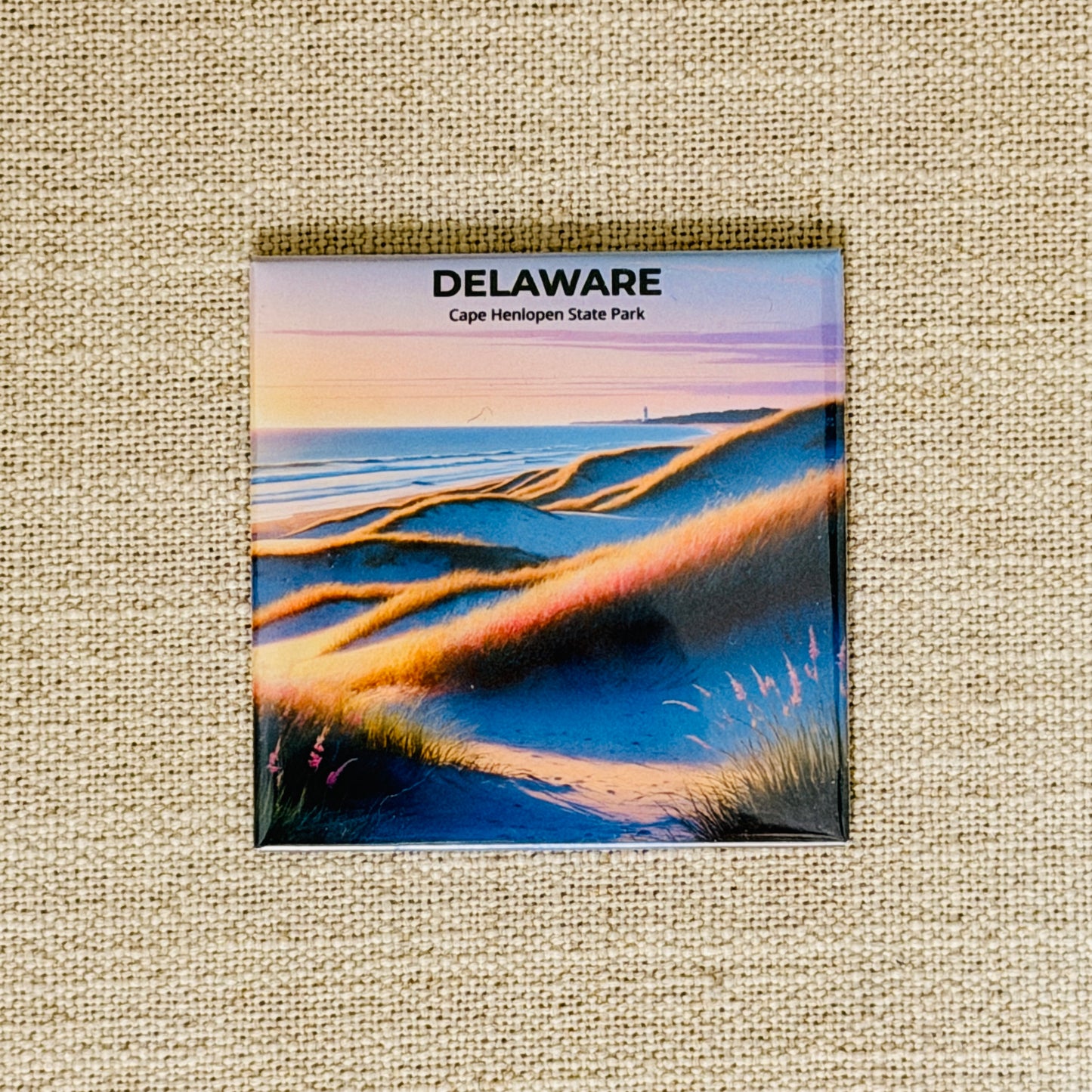 50 States Magnet Collection