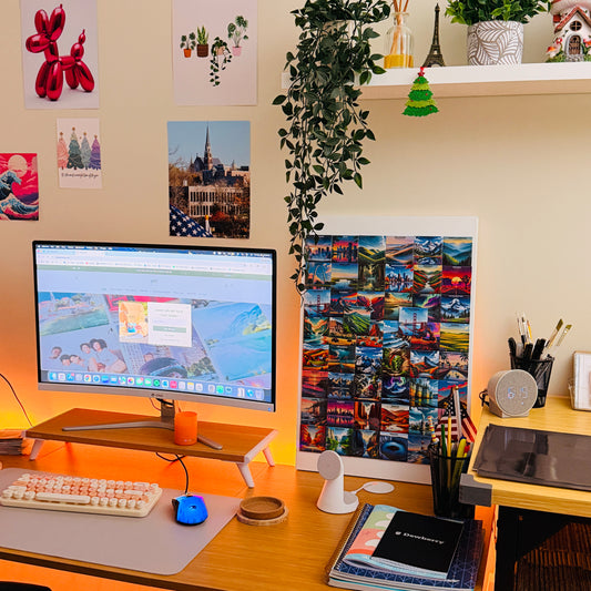 50 States Magnet Collection