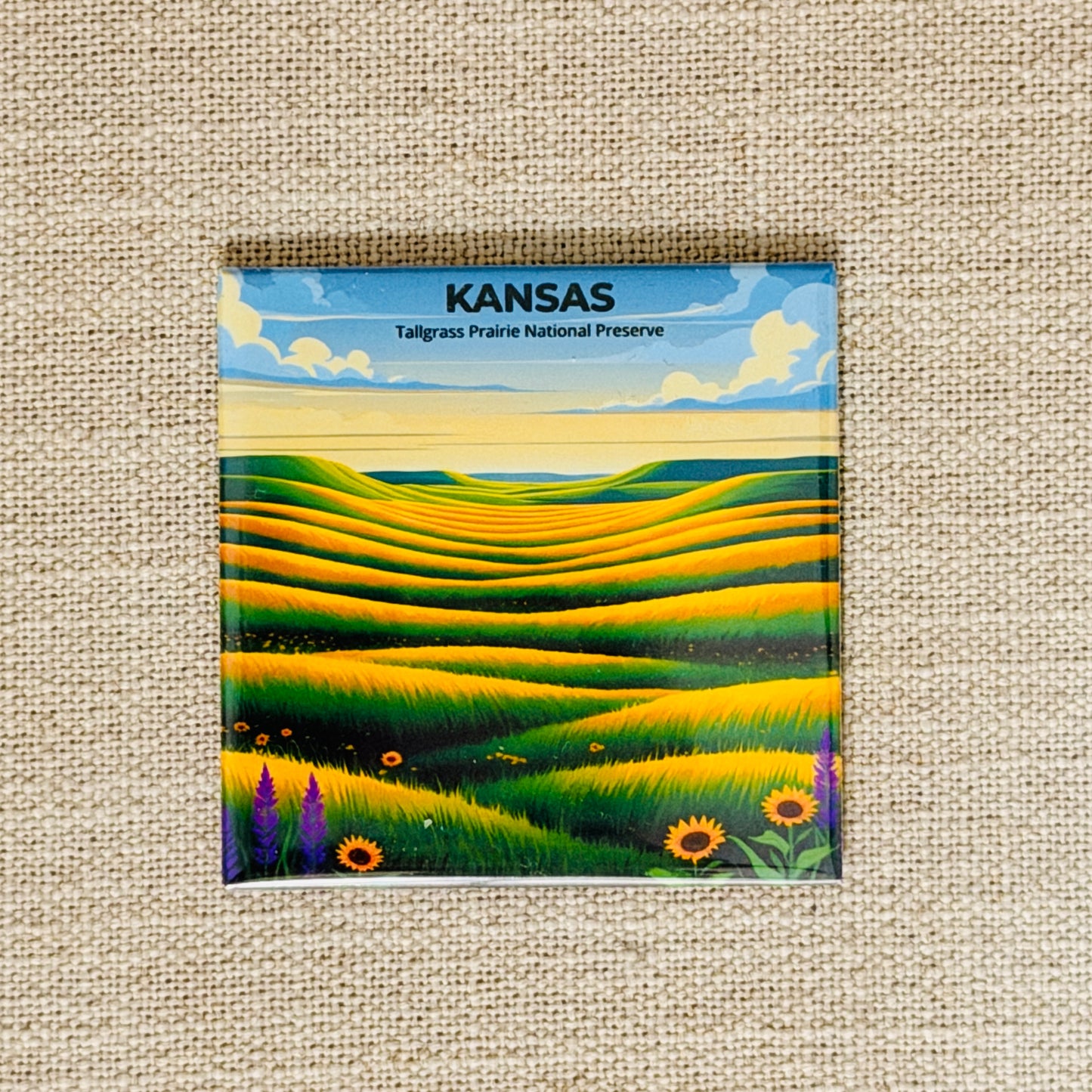 50 States Magnet Collection