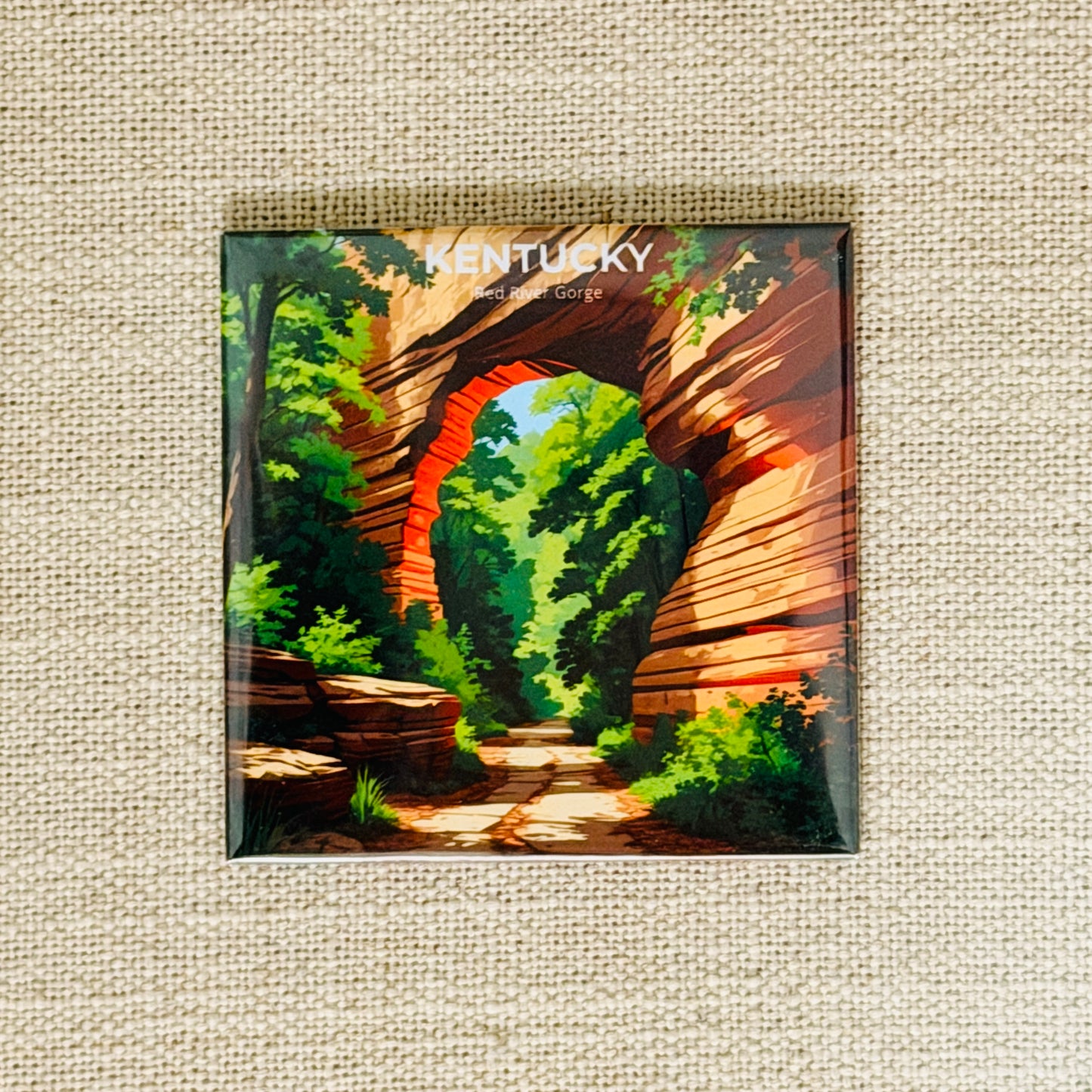 50 States Magnet Collection