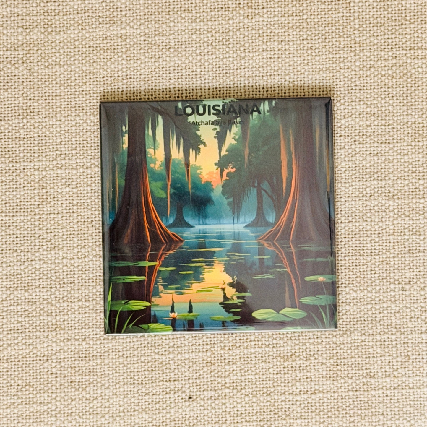 50 States Magnet Collection