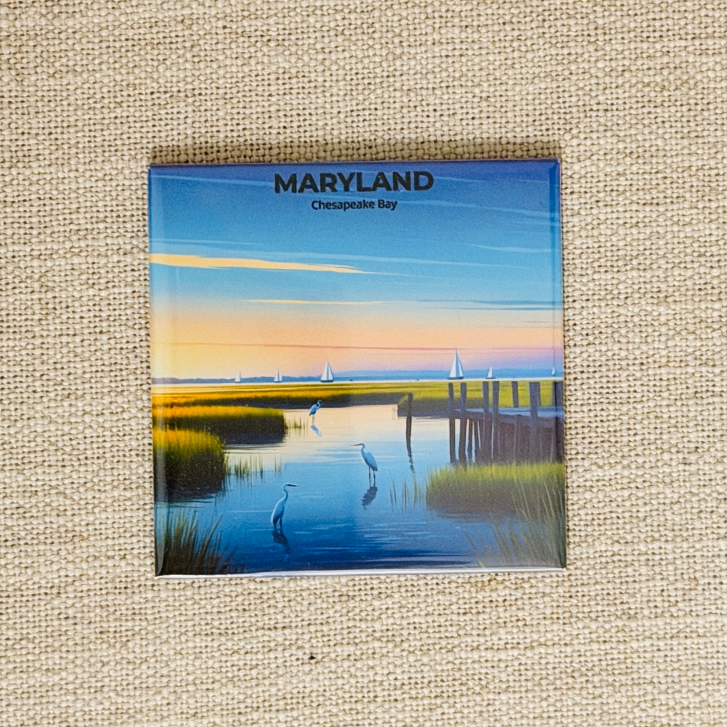 50 States Magnet Collection