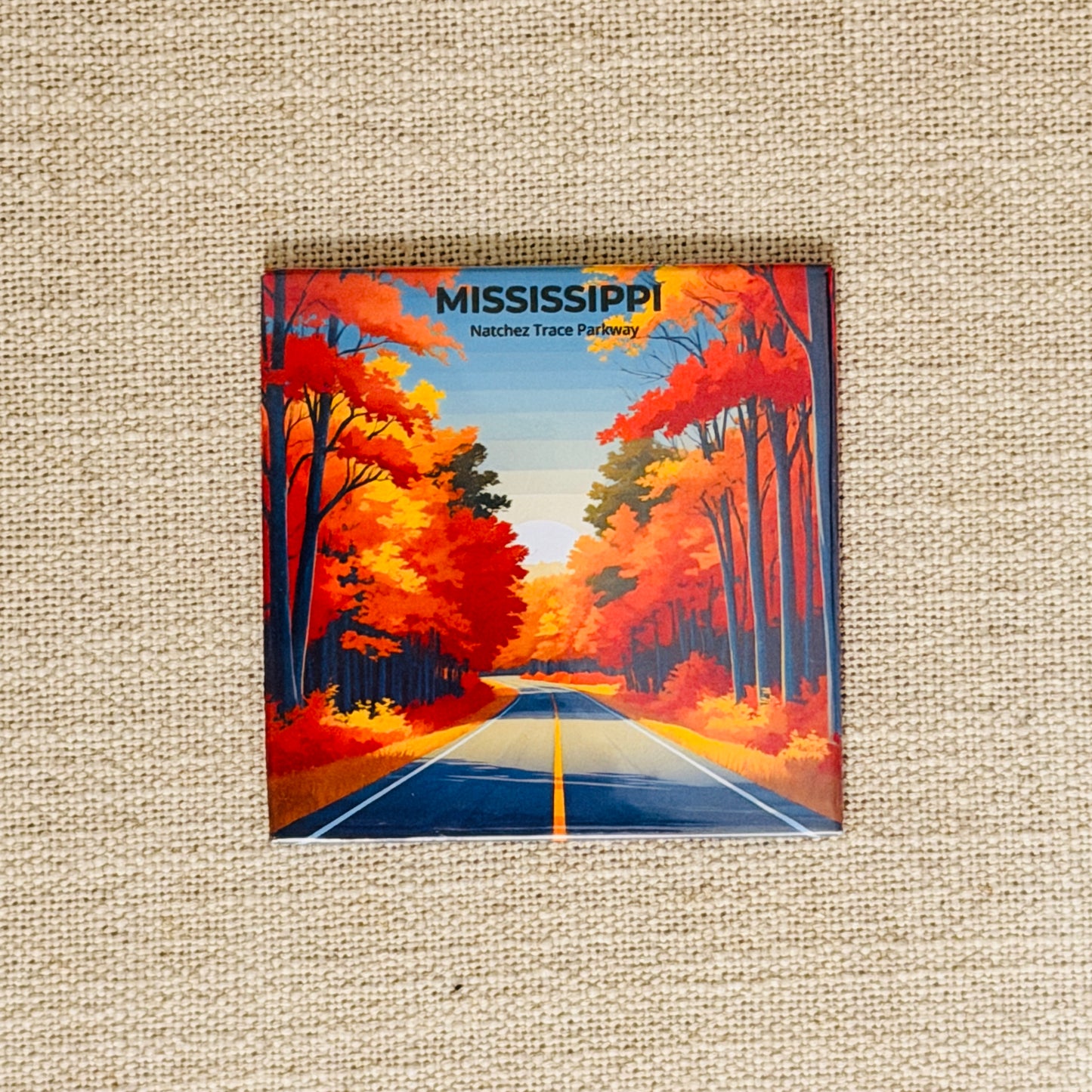 50 States Magnet Collection