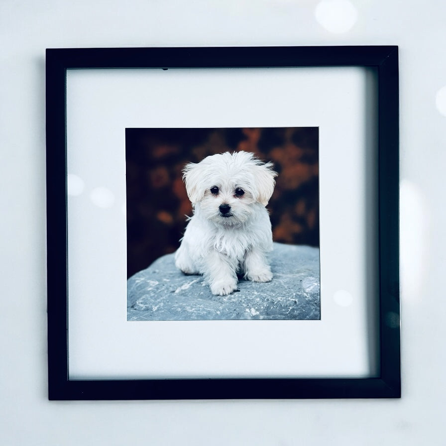 Marco de fotos personalizado