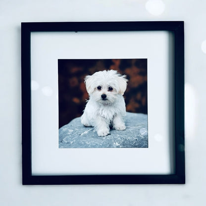 Marco de fotos personalizado