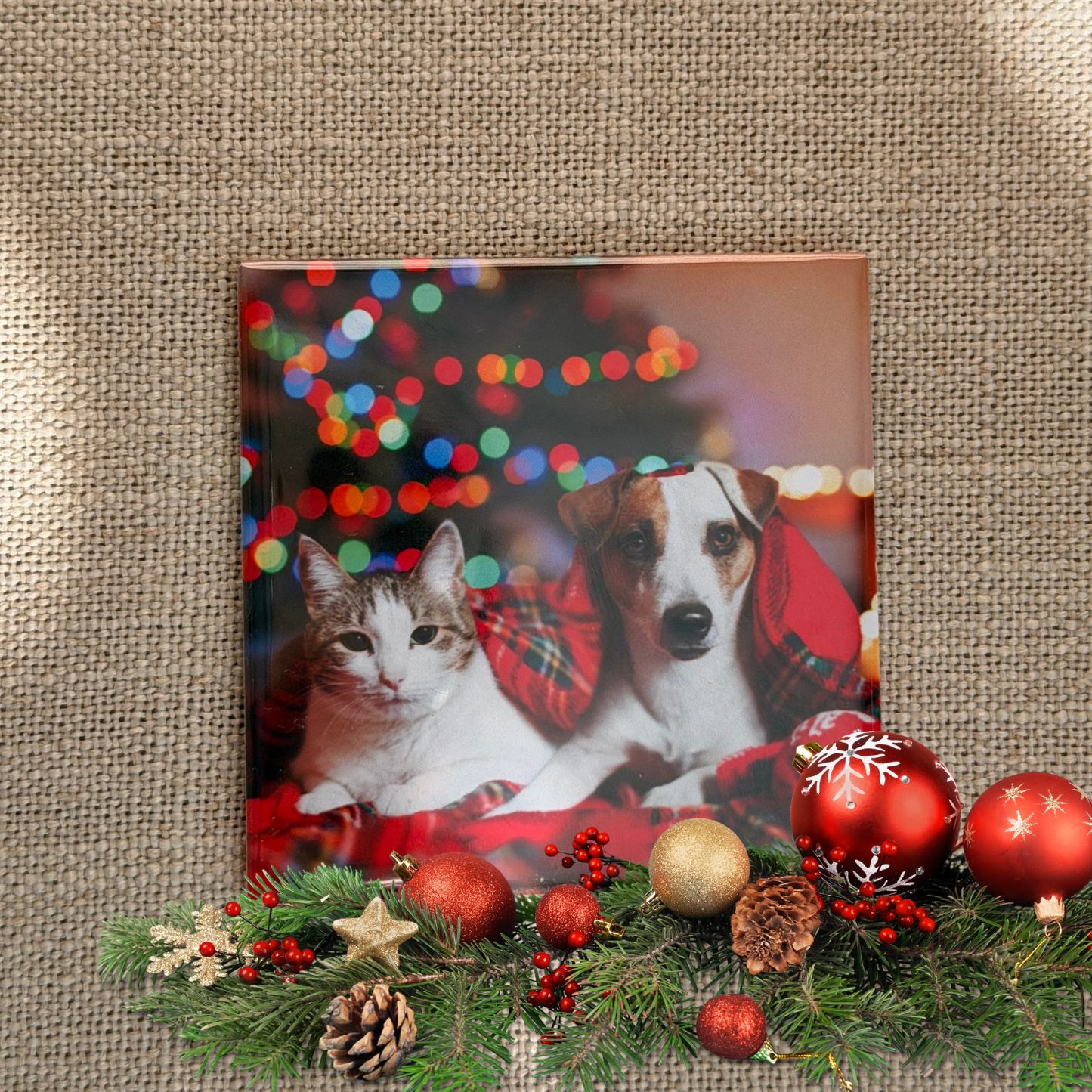 Imanes de nevera personalizados con fotos 