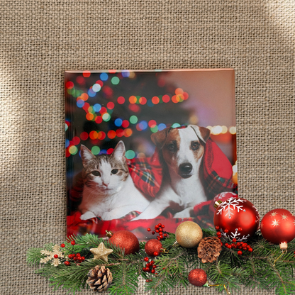 Imanes de nevera personalizados con fotos 