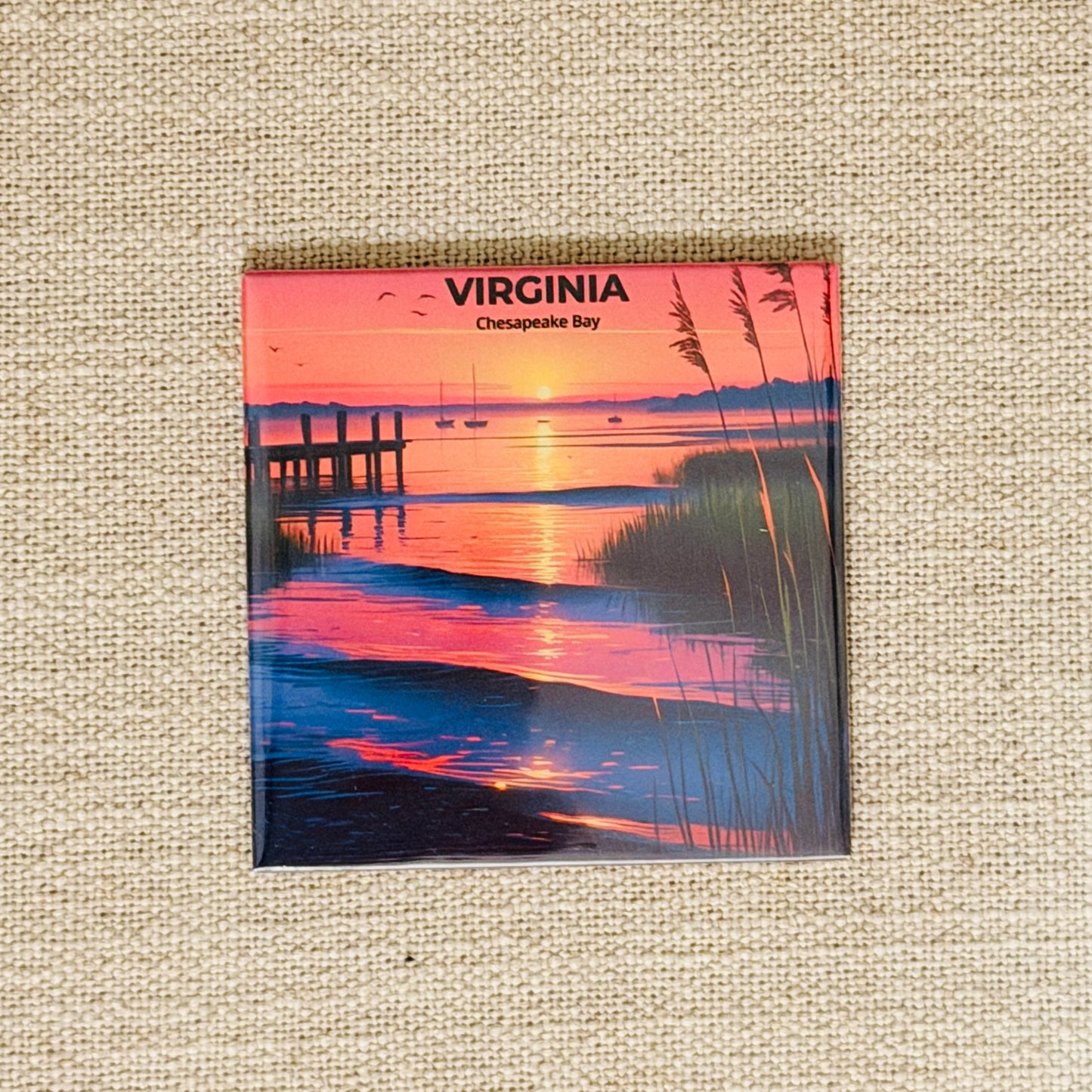 50 States Magnet Collection