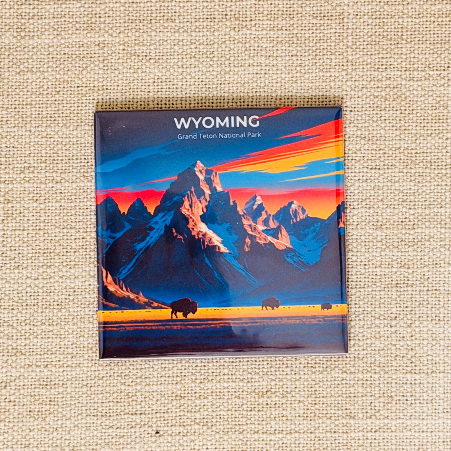 50 States Magnet Collection